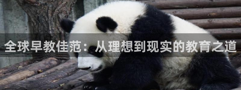 天狮娱乐平台招商:全球早教佳范:从理想到现实的教育之道