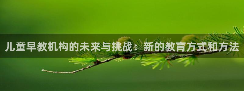 天狮娱乐 e.主管57661：儿童早教机构的未来与挑战：新的教育方式和方法