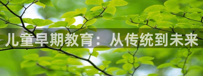 天狮娱乐q 找108306:儿童早期教育:从传统到未来