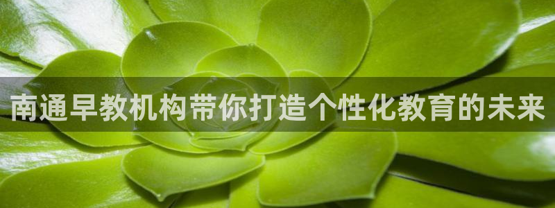 天狮娱乐 a主管98663:南通早教机构带你打造个性化教育的未来
