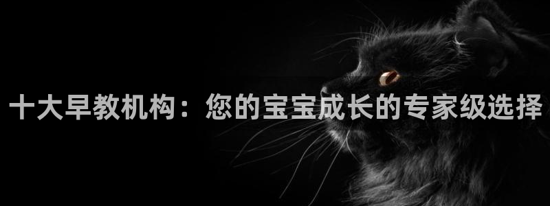 天狮娱乐注册平台官网:十大早教机构:您的宝宝成长的专家级选择