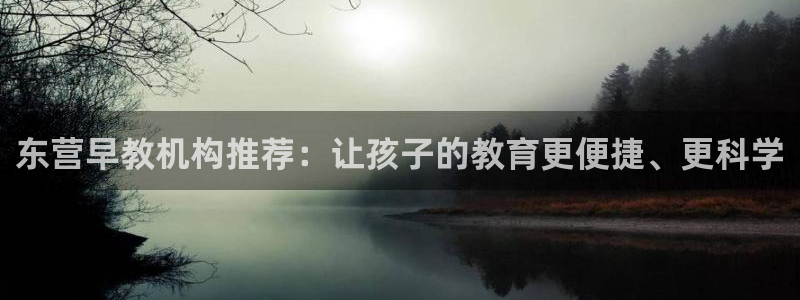 天狮娱乐1990注册:东营早教机构推荐:让孩子的教育更便捷、更科学