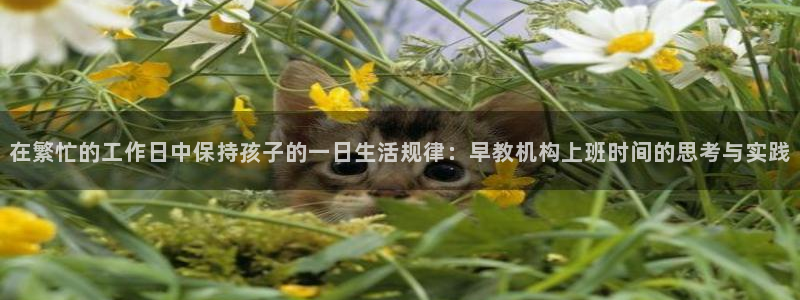 天狮娱乐首选：在繁忙的工作日中保持孩子的一日生活规律：早教机构上班时间的思考与实