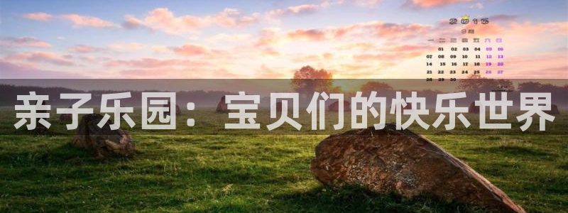 天狮娱乐玩法：亲子乐园：宝贝们的快乐世界