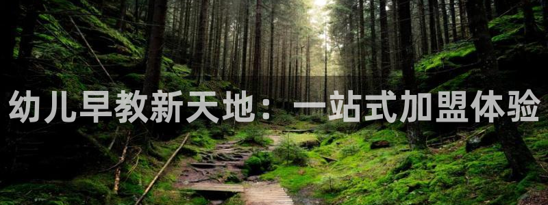 天狮娱乐真的假的：幼儿早教新天地：一站式加盟体验