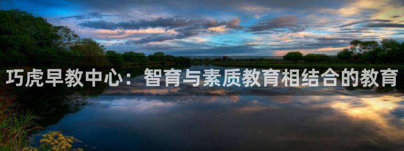 天狮娱乐电脑版：巧虎早教中心：智育与素质教育相结合的教育