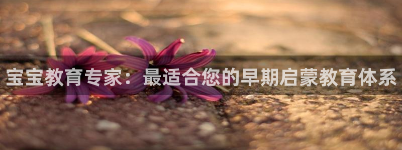 天狮娱乐负：宝宝教育专家：最适合您的早期启蒙教育体系