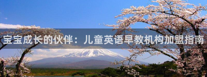 天狮娱乐c OO判官:宝宝成长的伙伴:儿童英语早教机构加盟指南