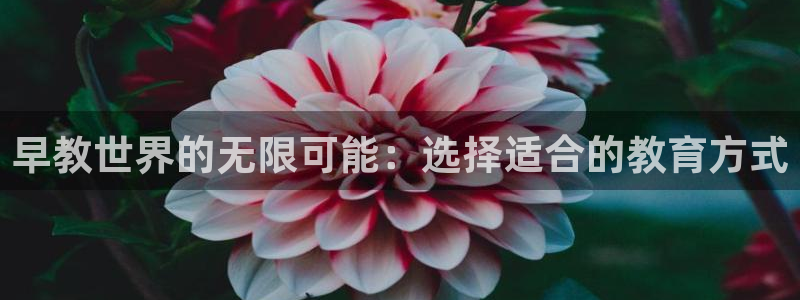 天狮娱乐成立:早教世界的无限可能:选择适合的教育方式