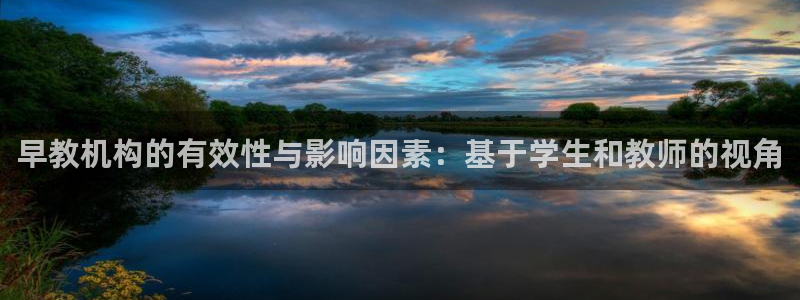 天狮娱乐开好：早教机构的有效性与影响因素：基于学生和教师的视角