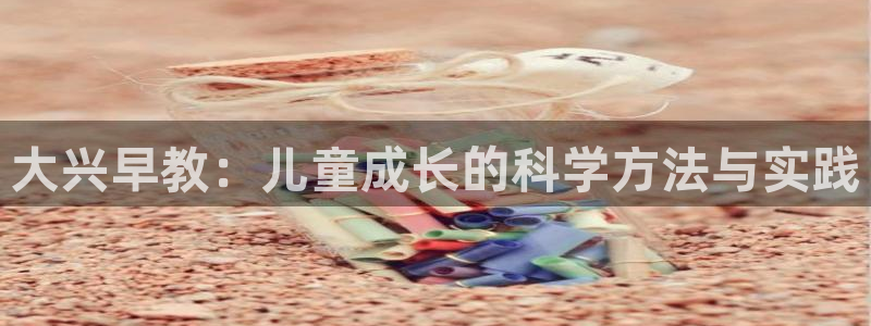 天狮娱乐招商29229:大兴早教:儿童成长的科学方法与实践