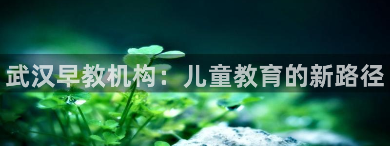 天狮娱乐主管82104：武汉早教机构：儿童教育的新路径