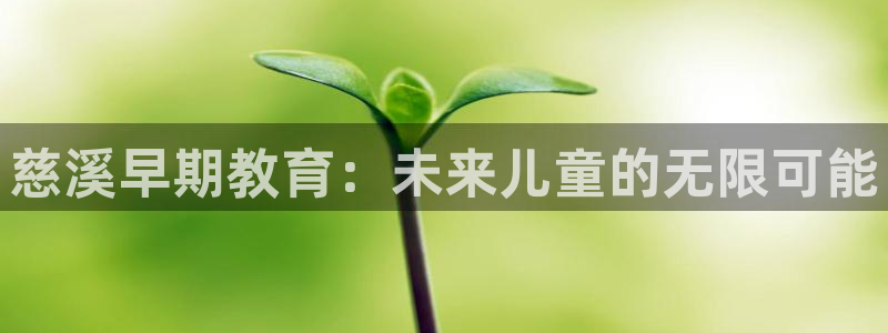 天狮娱乐返点：慈溪早期教育：未来儿童的无限可能