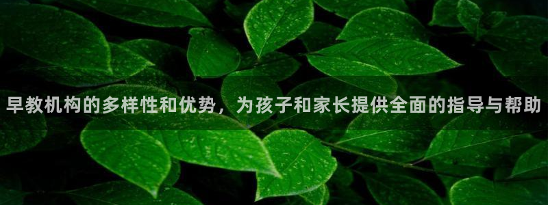 天狮娱乐30j判官333OO：早教机构的多样性和优势，为孩子和家长提供全面的指导