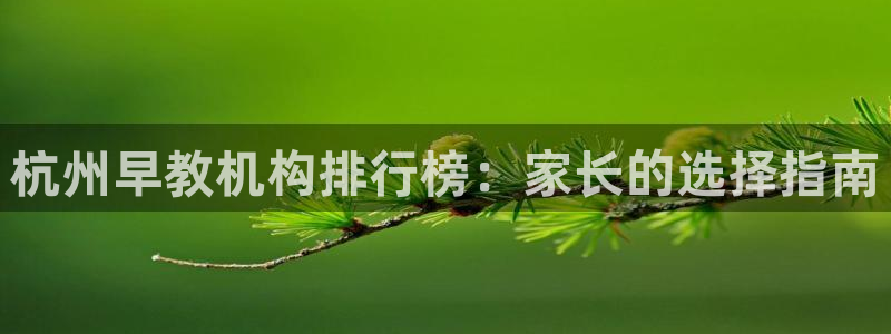 天狮娱乐平台：杭州早教机构排行榜：家长的选择指南