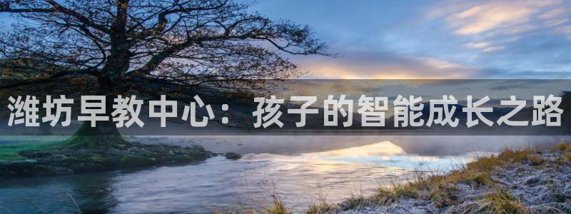 天狮娱乐　23976实c力：潍坊早教中心：孩子的智能成长之路