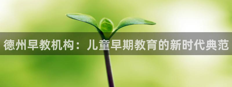 天狮娱乐 138注册：德州早教机构：儿童早期教育的新时代典范