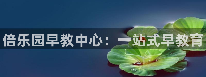 天狮娱乐手机app：倍乐园早教中心：一站式早教育