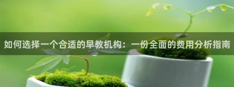天狮娱乐网址：如何选择一个合适的早教机构：一份全面的费用分析指南