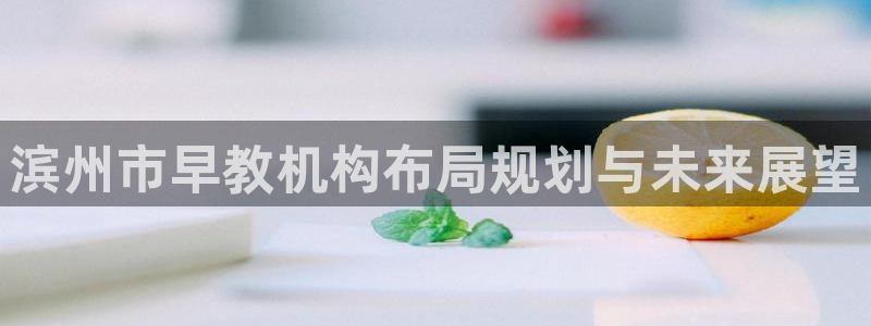 天狮娱乐返点多少：滨州市早教机构布局规划与未来展望