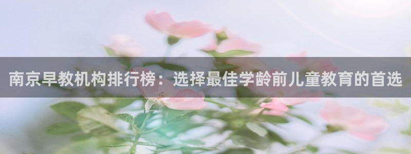 天狮娱乐登录：南京早教机构排行榜：选择最佳学龄前儿童教育的首选
