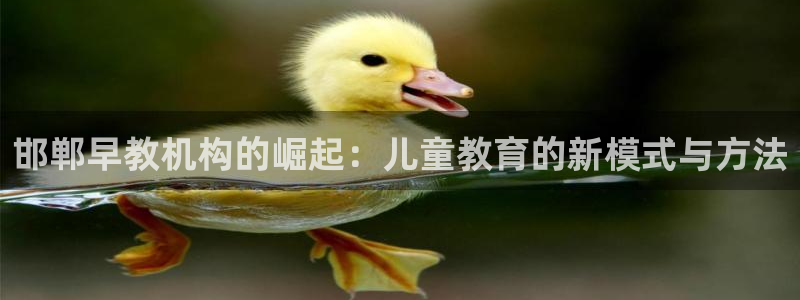 天狮娱乐主管191166薇星h：邯郸早教机构的崛起：儿童教育的新模式与方法