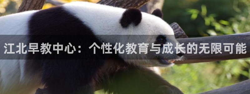 天狮娱乐主管57757：江北早教中心：个性化教育与成长的无限可能