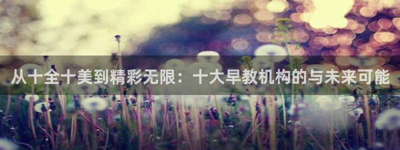 天狮娱乐注册q 0：从十全十美到精彩无限：十大早教机构的与未来可能